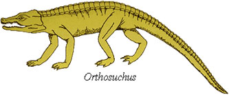 The sales first reptiles