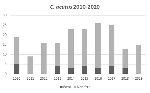 acutus-2010-2020
